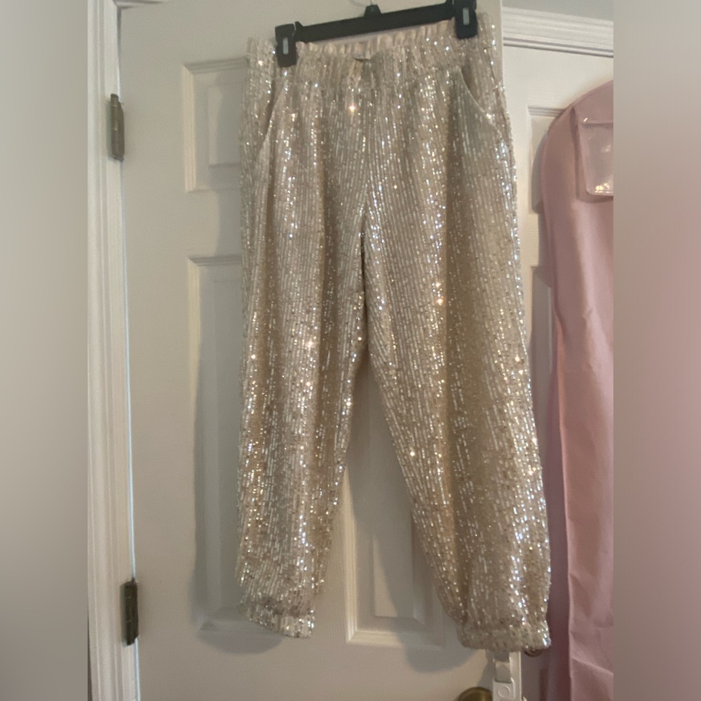 Loft Sequin Jogger Style Pants